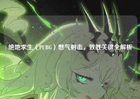 绝地求生（PUBG）憋气射击，致胜关键全解析