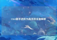 CSGO新手进阶为高手的全面解析