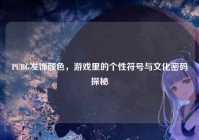 PUBG发饰颜色，游戏里的个性符号与文化密码探秘