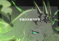 中国功夫魅力尽显