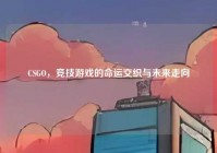 CSGO，竞技游戏的命运交织与未来走向
