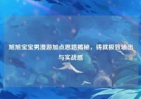 旭旭宝宝男漫游加点思路揭秘，铸就极致输出与实战感