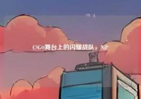 CSGO舞台上的闪耀战队，NiP