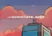 CSGO竞技背后的关键支撑，测试系统