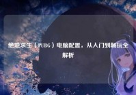 绝地求生（PUBG）电脑配置，从入门到畅玩全解析