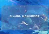 寻CSGO游戏，时光中执着的热爱