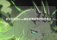 武汉女孩在Steam虚拟世界绽放的别样烟火