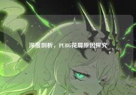 深度剖析，PUBG花屏原因探究