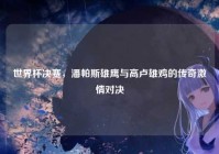 世界杯决赛，潘帕斯雄鹰与高卢雄鸡的传奇激情对决