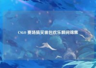 CSGO 赛场搞笑偷包欢乐瞬间锦集