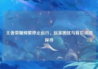 王者荣耀频繁停止运行，玩家困扰与背后成因探寻