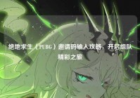 绝地求生（PUBG）邀请码输入攻略，开启组队精彩之旅