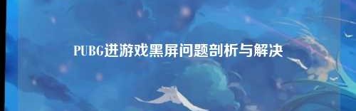 PUBG进游戏黑屏问题剖析与解决