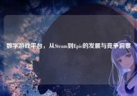 数字游戏平台，从Steam到Epic的发展与竞争洞察