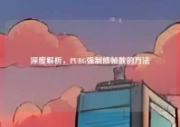 深度解析，PUBG强制修帧数的方法