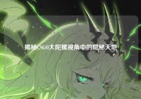 揭秘CSGO大陀螺视角中的隐秘天地