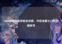 CSGO国服钥匙获取全攻略，开启宝藏之门的密钥探寻