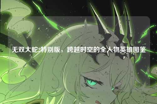 无双大蛇2特别版,跨越时空的全人物英雄图鉴