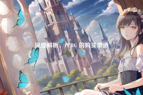 深度解析,PUBG 的购买渠道