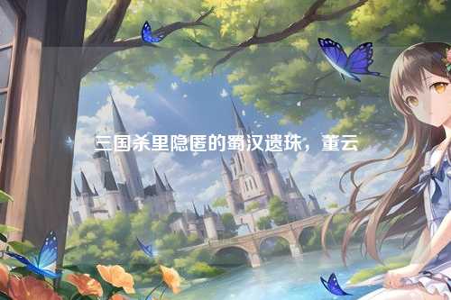 三国杀里隐匿的蜀汉遗珠,董云