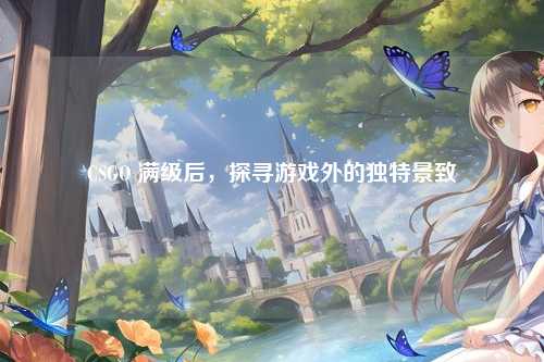 CSGO 满级后，探寻游戏外的独特景致