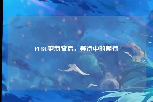 PUBG更新背后，等待中的期待