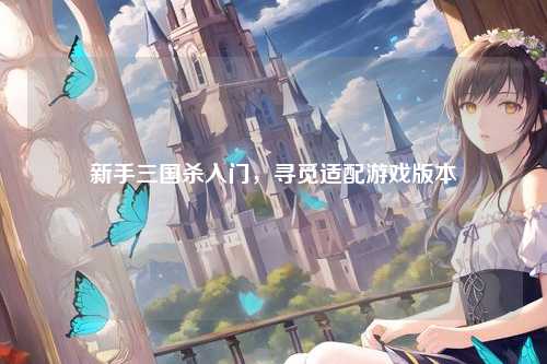 新手三国杀入门,寻觅适配游戏版本