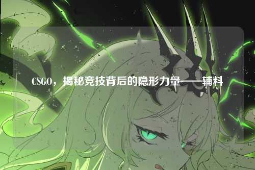 CSGO，揭秘竞技背后的隐形力量——辅料