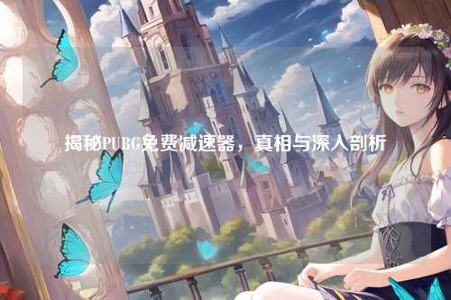 揭秘PUBG免费减速器，真相与深入剖析