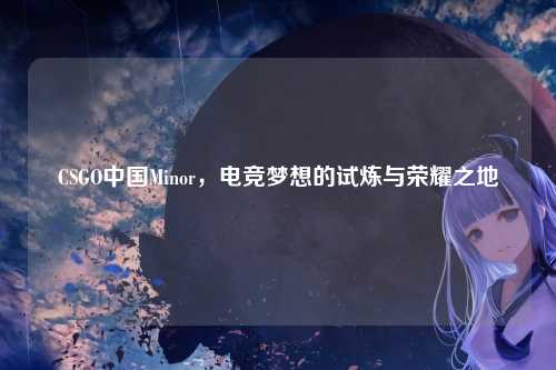 CSGO中国Minor,电竞梦想的试炼与荣耀之地