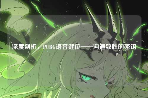 深度剖析，PUBG语音键位——沟通致胜的密钥