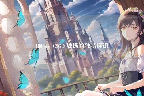 1800x,CSGO 战场的独特标识